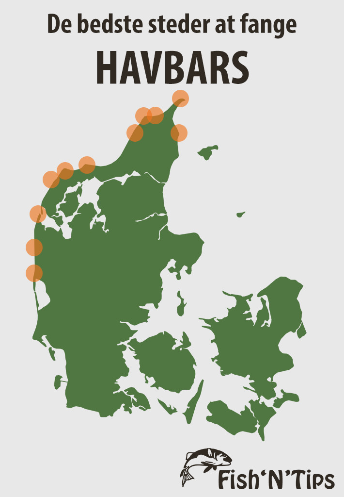 Havbars fangststeder