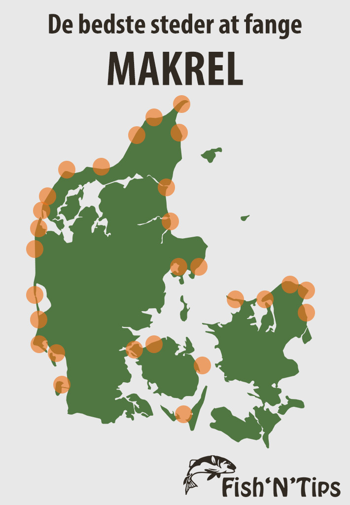 Makrel - Gode steder at fange makrel