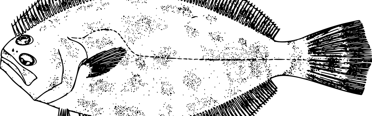 Skrubbe